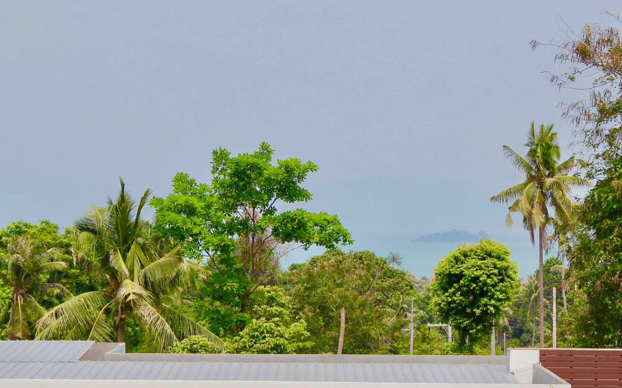 Big 5 bedroom villa with a garden and a private pool in Bangrak – VIL0499 — vignette 4